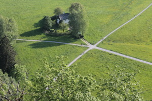 Weggabelung auf einer Wiese aus der Vogelperspektive